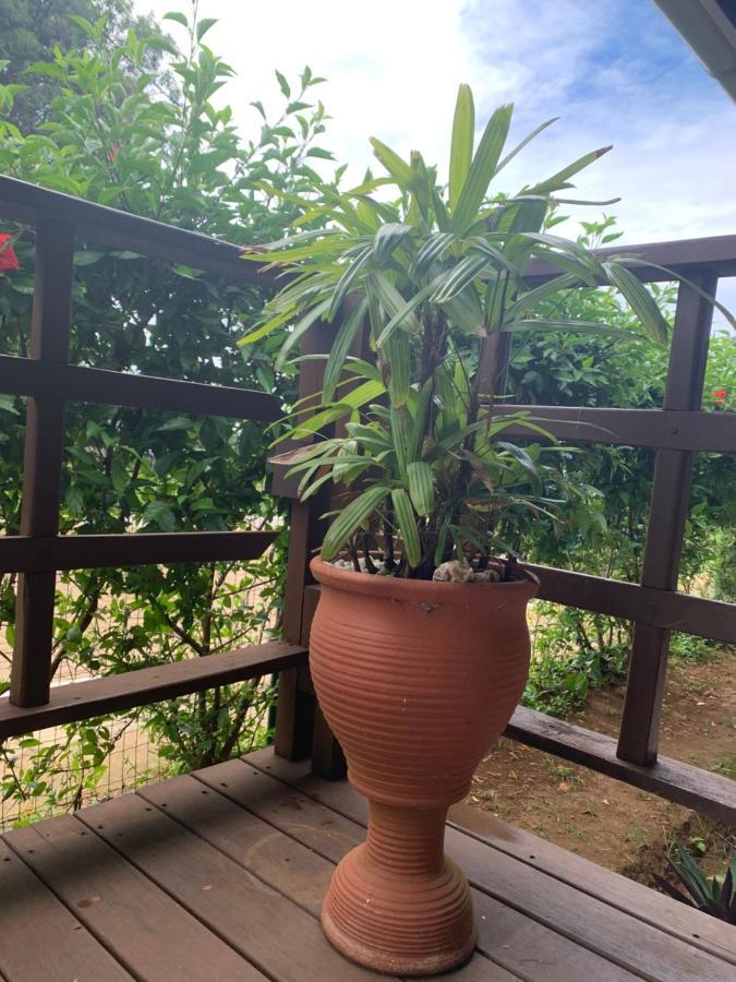 Pousada Ventos Da Atalaia Fernando de Noronha Bagian luar foto